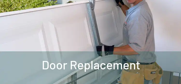  Door Replacement 