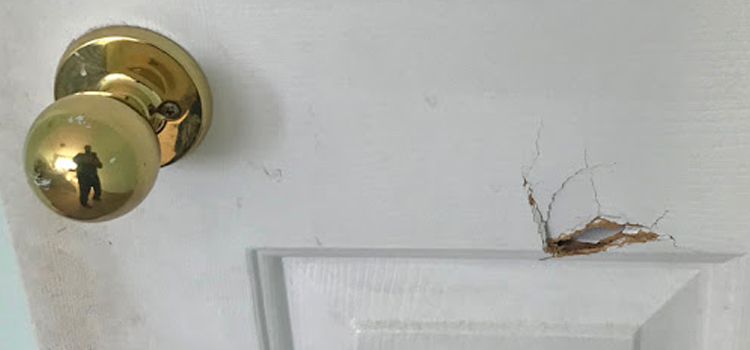 interior door hole repair Rohnert Park